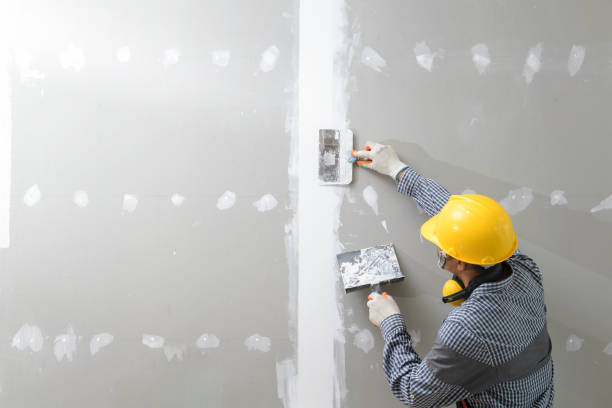 Best Wallpaper Removal and Painting  in Allentown, PA